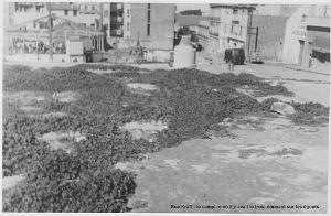 LE TROU DANS LE CAMPICO A MIRAMAR